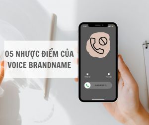 nhược điểm của voice brandname