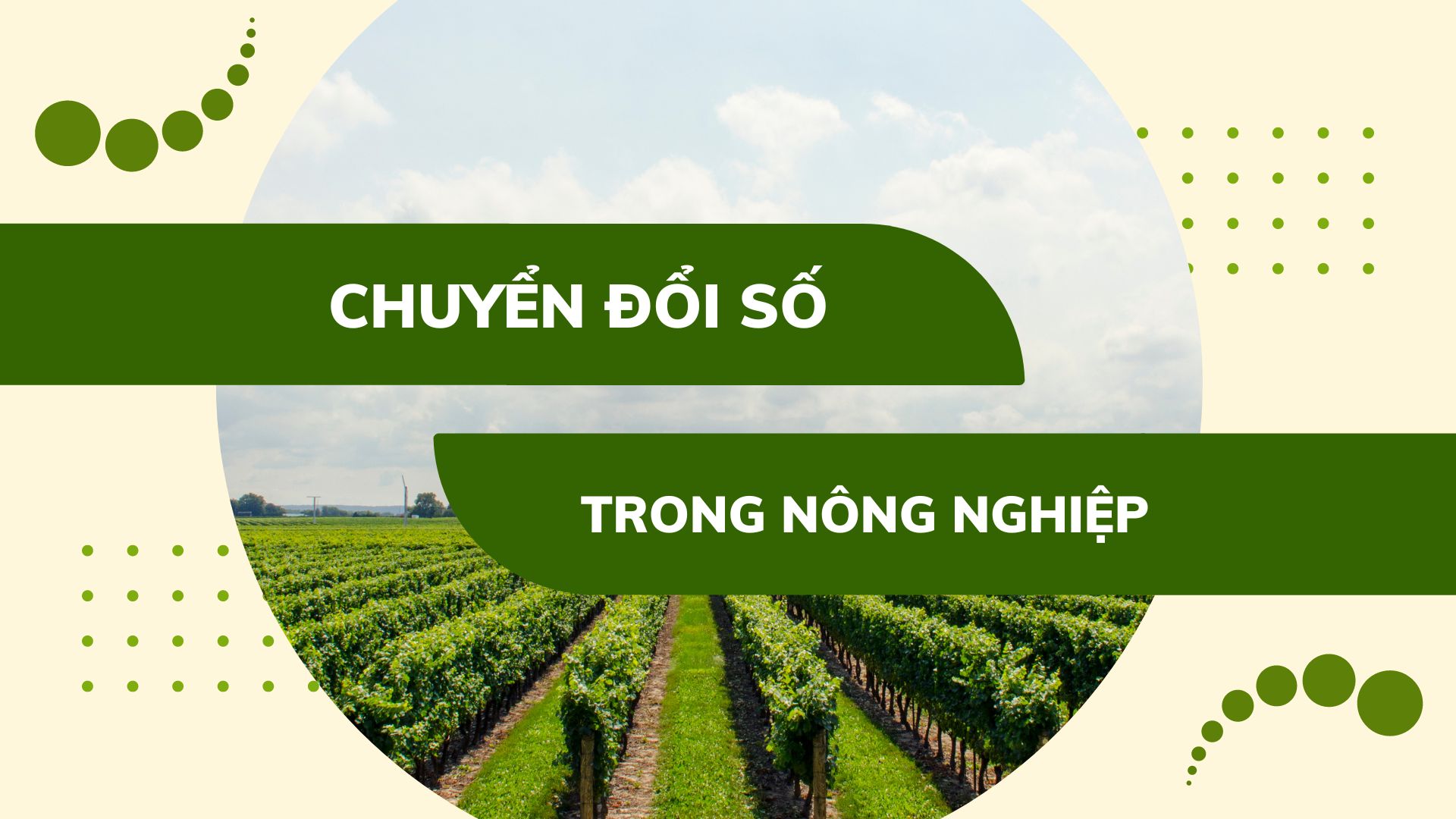 Chuyển đổi số trong nông nghiệp và sự liên kết từ địa phương tới người nông dân